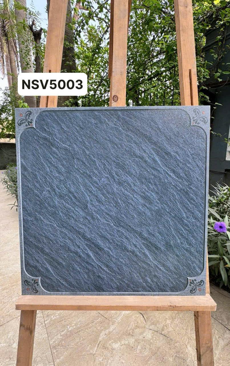 NSV5003